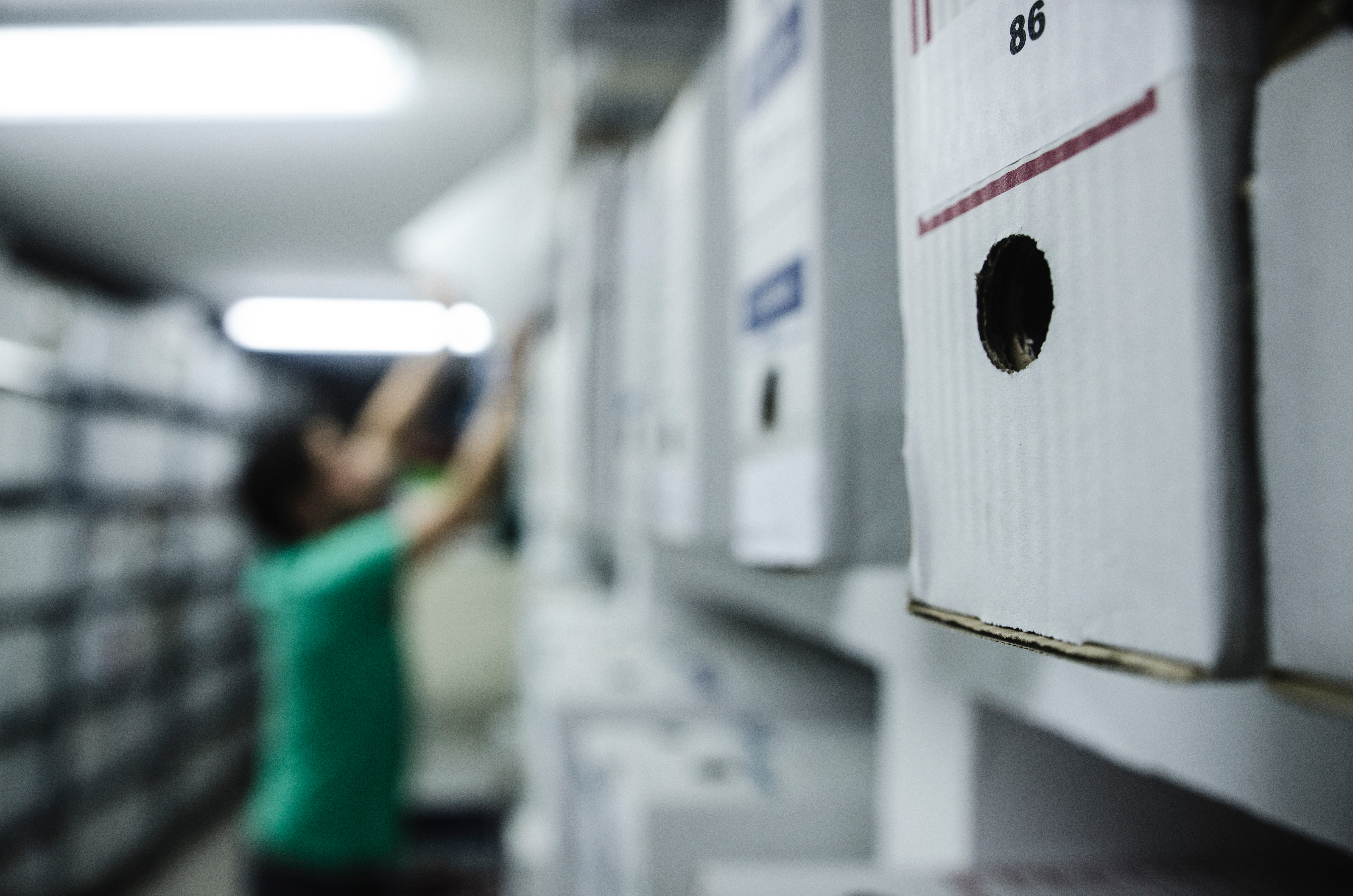 Destroy Box Files Why the New Year is the Best Time to Destroy Old Records